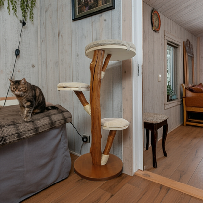 Tiragraffi in tronco di faggio con cuscini panna – Eleganza e robustezza artigianale